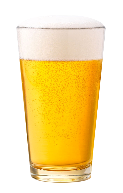 ZAPO Agave Beer Pint